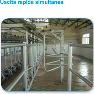 Uscita rapida simultanea