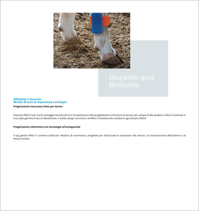 Affidabile e durevole Sfrutta 40 anni di esperienza e sviluppo Progettazione meccanica fatta per durare  Acquista AfiAct II per trarre vantaggio da oltre 40 anni di esperienza nella progettazione e fornitura di sensori per zampe di alta qualità a milioni di animali in una vasta gamma di tipi di allevamento. Il solido design meccanico di AfiAct II resisterà alle condizioni agricole più difficili.  Progettazione elettronica con tecnologia all'avanguardia  Il tag gamba AfiAct II contiene sofisticati rilevatori di movimento, progettati per ottimizzare le prestazioni dei sensori, la comunicazione dell'antenna e la lettura remota