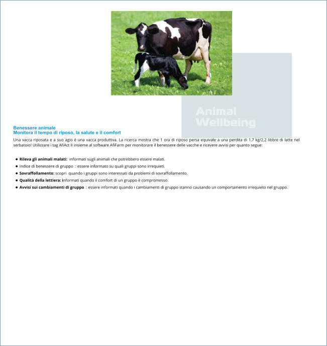 Benessere animale Monitora il tempo di riposo, la salute e il comfort Una vacca riposata e a suo agio è una vacca produttiva. La ricerca mostra che 1 ora di riposo persa equivale a una perdita di 1,7 kg/2,2 libbre di latte nel serbatoio! Utilizzare i tag AfiAct II insieme al software AfiFarm per monitorare il benessere delle vacche e ricevere avvisi per quanto segue:  •	Rileva gli animali malati:  informati sugli animali che potrebbero essere malati. •	Indice di benessere di gruppo  : essere informato su quali gruppi sono irrequieti. •	Sovraffollamento: scopri  quando i gruppi sono interessati da problemi di sovraffollamento. •	Qualità della lettiera: informati quando il comfort di un gruppo è compromesso. •	Avvisi sui cambiamenti di gruppo  : essere informati quando i cambiamenti di gruppo stanno causando un comportamento irrequieto nel gruppo.