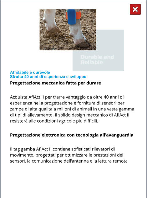 Affidabile e durevole Sfrutta 40 anni di esperienza e sviluppo Progettazione meccanica fatta per durare  Acquista AfiAct II per trarre vantaggio da oltre 40 anni di esperienza nella progettazione e fornitura di sensori per zampe di alta qualità a milioni di animali in una vasta gamma di tipi di allevamento. Il solido design meccanico di AfiAct II resisterà alle condizioni agricole più difficili.  Progettazione elettronica con tecnologia all'avanguardia  Il tag gamba AfiAct II contiene sofisticati rilevatori di movimento, progettati per ottimizzare le prestazioni dei sensori, la comunicazione dell'antenna e la lettura remota