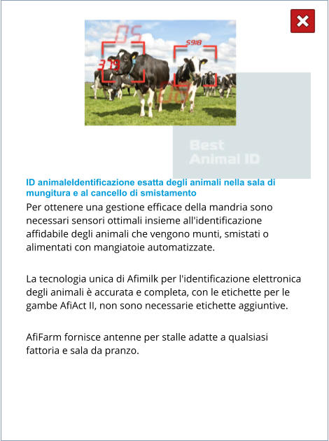 ID animaleIdentificazione esatta degli animali nella sala di mungitura e al cancello di smistamento Per ottenere una gestione efficace della mandria sono necessari sensori ottimali insieme all'identificazione affidabile degli animali che vengono munti, smistati o alimentati con mangiatoie automatizzate.  La tecnologia unica di Afimilk per l'identificazione elettronica degli animali è accurata e completa, con le etichette per le gambe AfiAct II, non sono necessarie etichette aggiuntive.  AfiFarm fornisce antenne per stalle adatte a qualsiasi fattoria e sala da pranzo.