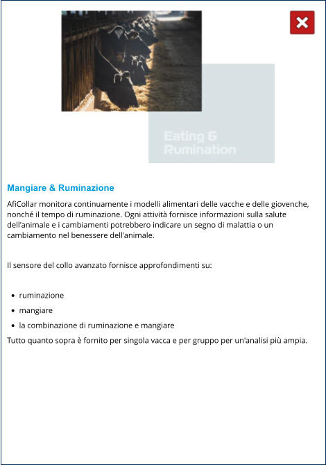 Mangiare & Ruminazione AfiCollar monitora continuamente i modelli alimentari delle vacche e delle giovenche, nonché il tempo di ruminazione. Ogni attività fornisce informazioni sulla salute dell'animale e i cambiamenti potrebbero indicare un segno di malattia o un cambiamento nel benessere dell'animale.  Il sensore del collo avanzato fornisce approfondimenti su:  •	ruminazione •	mangiare •	la combinazione di ruminazione e mangiare Tutto quanto sopra è fornito per singola vacca e per gruppo per un'analisi più ampia.