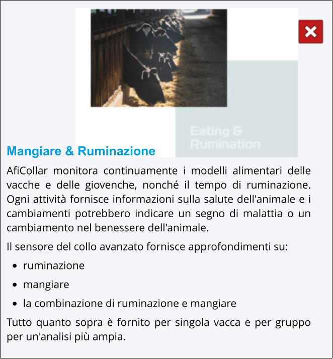 Mangiare & Ruminazione AfiCollar monitora continuamente i modelli alimentari delle vacche e delle giovenche, nonché il tempo di ruminazione. Ogni attività fornisce informazioni sulla salute dell'animale e i cambiamenti potrebbero indicare un segno di malattia o un cambiamento nel benessere dell'animale. Il sensore del collo avanzato fornisce approfondimenti su: •	ruminazione •	mangiare •	la combinazione di ruminazione e mangiare Tutto quanto sopra è fornito per singola vacca e per gruppo per un'analisi più ampia.