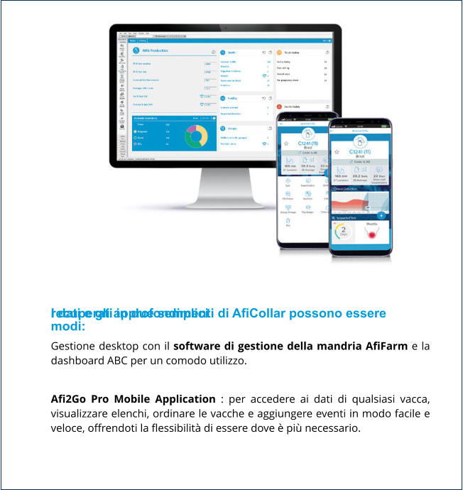 I dati e gli approfondimenti di AfiCollar possono essere recuperati in due semplici modi: Gestione desktop con il software di gestione della mandria AfiFarm e la dashboard ABC per un comodo utilizzo.  Afi2Go Pro Mobile Application : per accedere ai dati di qualsiasi vacca, visualizzare elenchi, ordinare le vacche e aggiungere eventi in modo facile e veloce, offrendoti la flessibilità di essere dove è più necessario.