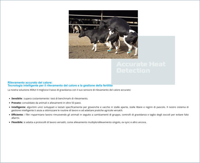 Rilevamento accurato del calore: Tecnologia intelligente per il rilevamento del calore e la gestione della fertilità La nostra soluzione AfiAct II migliora il tasso di gravidanza con il suo sensore di rilevamento del calore accurato:  •	Sensibile : supera costantemente i test di benchmark di rilevamento. •	Provato: convalidato da animali e allevamenti in oltre 50 paesi. •	Intelligente: algoritmi unici sviluppati e testati specificamente per giovenche e vacche in stalle aperte, stalle libere e regimi di pascolo. Il nostro sistema di gestione intelligente ti aiuta a ottimizzare le routine di lavoro e ad adattare pratiche agricole versatili. •	Efficiente: i filtri risparmiano lavoro rimuovendo gli animali in seguito a cambiamenti di gruppo, controlli di gravidanza e taglio degli zoccoli per evitare falsi allarmi. •	Flessibile: si adatta a protocolli di lavoro versatili, come allevamento multiplo/allevamento singolo, ov-sync e altro ancora..