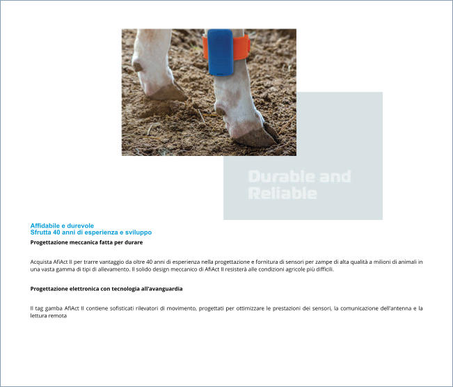 Affidabile e durevole Sfrutta 40 anni di esperienza e sviluppo Progettazione meccanica fatta per durare  Acquista AfiAct II per trarre vantaggio da oltre 40 anni di esperienza nella progettazione e fornitura di sensori per zampe di alta qualità a milioni di animali in una vasta gamma di tipi di allevamento. Il solido design meccanico di AfiAct II resisterà alle condizioni agricole più difficili.  Progettazione elettronica con tecnologia all'avanguardia  Il tag gamba AfiAct II contiene sofisticati rilevatori di movimento, progettati per ottimizzare le prestazioni dei sensori, la comunicazione dell'antenna e la lettura remota