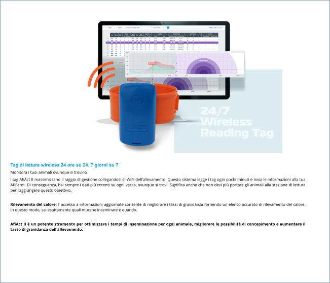 Tag di lettura wireless 24 ore su 24, 7 giorni su 7 Monitora i tuoi animali ovunque si trovino I tag AfiAct II massimizzano il raggio di gestione collegandosi al WiFi dell'allevamento. Questo sistema legge i tag ogni pochi minuti e invia le informazioni alla tua AfiFarm. Di conseguenza, hai sempre i dati più recenti su ogni vacca, ovunque si trovi. Significa anche che non devi più portare gli animali alla stazione di lettura per raggiungere questo obiettivo.  Rilevamento del calore: l' accesso a informazioni aggiornate consente di migliorare i tassi di gravidanza fornendo un elenco accurato di rilevamento del calore. In questo modo, sai esattamente quali mucche inseminare e quando.  AfiAct II è un potente strumento per ottimizzare i tempi di inseminazione per ogni animale, migliorare le possibilità di concepimento e aumentare il tasso di gravidanza dell'allevamento.