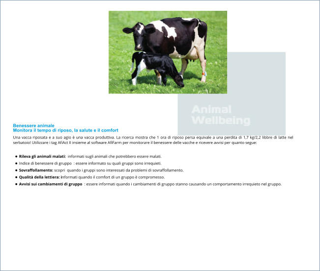 Benessere animale Monitora il tempo di riposo, la salute e il comfort Una vacca riposata e a suo agio è una vacca produttiva. La ricerca mostra che 1 ora di riposo persa equivale a una perdita di 1,7 kg/2,2 libbre di latte nel serbatoio! Utilizzare i tag AfiAct II insieme al software AfiFarm per monitorare il benessere delle vacche e ricevere avvisi per quanto segue:  •	Rileva gli animali malati:  informati sugli animali che potrebbero essere malati. •	Indice di benessere di gruppo  : essere informato su quali gruppi sono irrequieti. •	Sovraffollamento: scopri  quando i gruppi sono interessati da problemi di sovraffollamento. •	Qualità della lettiera: informati quando il comfort di un gruppo è compromesso. •	Avvisi sui cambiamenti di gruppo  : essere informati quando i cambiamenti di gruppo stanno causando un comportamento irrequieto nel gruppo.