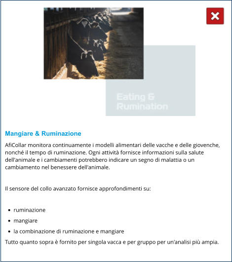 Mangiare & Ruminazione AfiCollar monitora continuamente i modelli alimentari delle vacche e delle giovenche, nonché il tempo di ruminazione. Ogni attività fornisce informazioni sulla salute dell'animale e i cambiamenti potrebbero indicare un segno di malattia o un cambiamento nel benessere dell'animale.  Il sensore del collo avanzato fornisce approfondimenti su:  •	ruminazione •	mangiare •	la combinazione di ruminazione e mangiare Tutto quanto sopra è fornito per singola vacca e per gruppo per un'analisi più ampia.