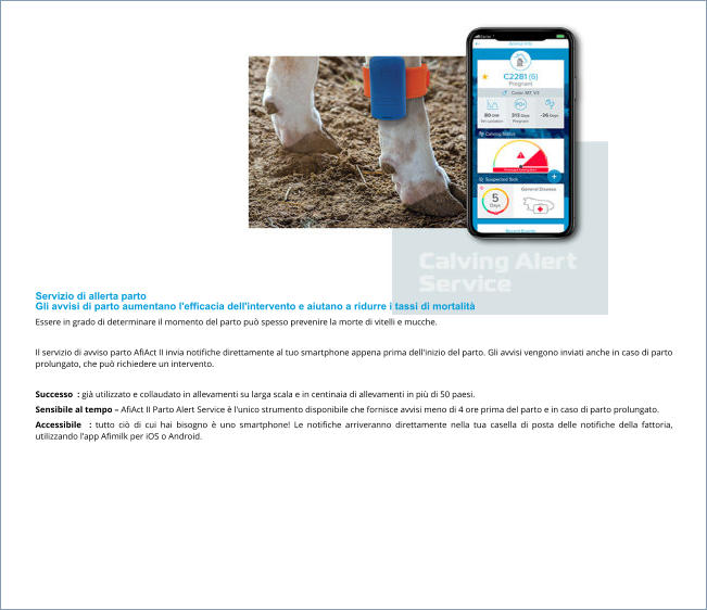Servizio di allerta parto Gli avvisi di parto aumentano l'efficacia dell'intervento e aiutano a ridurre i tassi di mortalità Essere in grado di determinare il momento del parto può spesso prevenire la morte di vitelli e mucche.  Il servizio di avviso parto AfiAct II invia notifiche direttamente al tuo smartphone appena prima dell'inizio del parto. Gli avvisi vengono inviati anche in caso di parto prolungato, che può richiedere un intervento.  Successo  : già utilizzato e collaudato in allevamenti su larga scala e in centinaia di allevamenti in più di 50 paesi. Sensibile al tempo – AfiAct II Parto Alert Service è l'unico strumento disponibile che fornisce avvisi meno di 4 ore prima del parto e in caso di parto prolungato. Accessibile  : tutto ciò di cui hai bisogno è uno smartphone! Le notifiche arriveranno direttamente nella tua casella di posta delle notifiche della fattoria, utilizzando l'app Afimilk per iOS o Android.